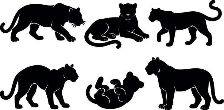Minimalist silhouette vector set of panther poses stalking sitting walking lying playful collection for logos icons branding web print apparel