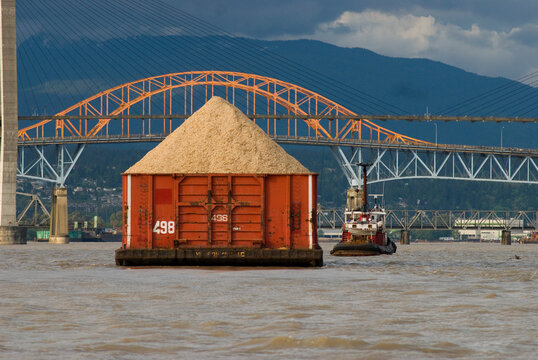 Canada, BC, New Westminster.  Load of wood chips being towed up the Fraser River .  