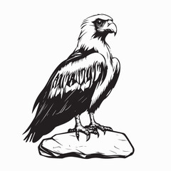 Obraz premium Majestic Bearded Vulture on Rock Vector Design On White Background