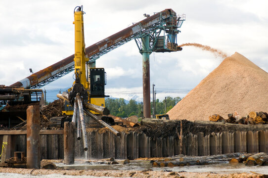 Canada, BC, Vancouver.  Lumber mill on the shore of the Fraser River.  Log loader removing logs from the river in the foreground.  Wood chip pile and conveyor in the background.