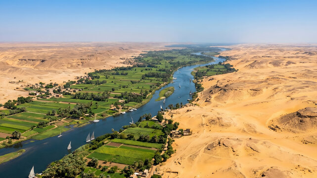 The stark contrast where the green fertile land of the Nile valley abruptly meets the harsh yellow desert sand