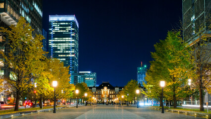 東京駅　行幸通り