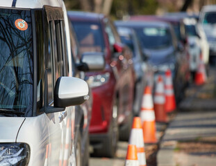 昼の公園の路上で駐車する車の列の風景