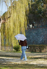 春の名城公園で散歩する若い女性の姿と柳の新緑の風景