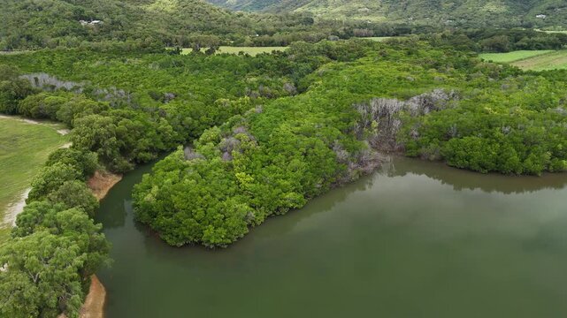 Mowbray River, North Cairns, Queensland, Australia &ndash; 4K Aerial Footage of River with Mangroves, Wetlands, Rainforest, Farmland, Crocodile Viewpoint along Along Captain Cook Highway
