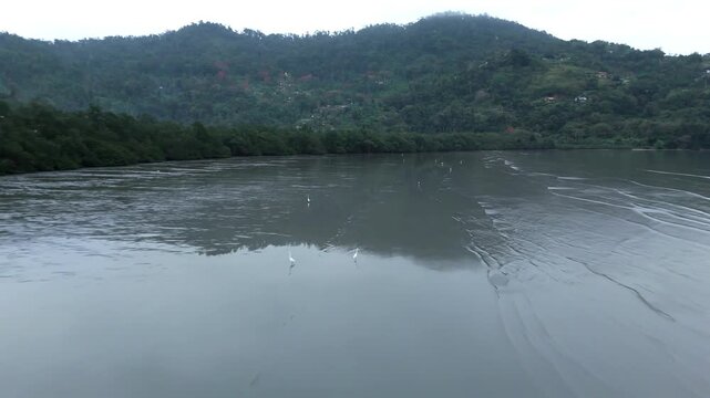 Still Water Reflects Forested Hills Along a Quiet Inlet in Paraty, Brazil - Drone Flying Forward