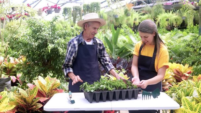 Happy multi generational Hispanic people working with herbs in greenhouse garden shop