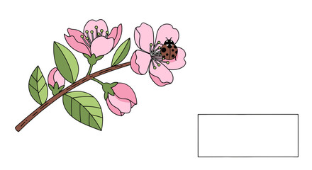 Branch with pink cherry blossoms and a ladybug resting on the petals vector illustration in spring season floral design for decoration © Muhammad