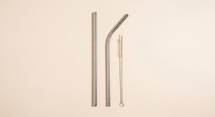 An isolated closeup of a sharp metal needle and steel construction nails shows old iron tools and silver equipment on a white background