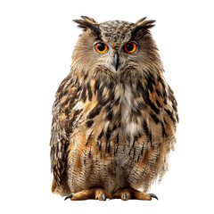 Eurasian Eagle Owl Isolated on Transparent Background &ndash; Realistic Owl PNG Cutout