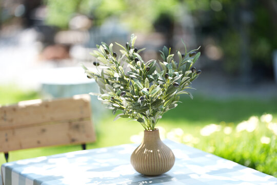Olive branch vase table garden sunlight outdoor summer bokeh, tranquil still life with green leaves in ceramic vase on patio table, soft blur background, calm mood