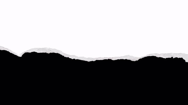 Torn Paper Mask Transition &ndash; Black & White Edge Reveal Animation 4K