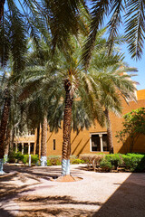 Lush palm trees in the gardens of Murabba Historical Palace in Riyadh, Saudi Arabia
