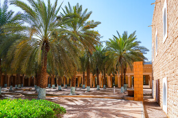 Fototapeta premium Lush palm trees in the gardens of Murabba Historical Palace in Riyadh, Saudi Arabia