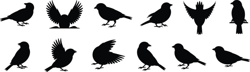 Obraz premium Bird silhouettes collection, black flying and standing birds isolated on white background for nature design, clipart and stencil use