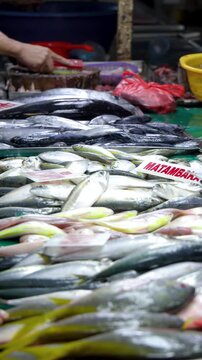 Fresh Fish and Seafood Display at a Manila Wet Market