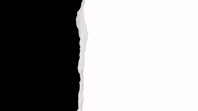 Torn Paper Matte Transition &ndash; Black White Mask Slide Reveal Animation 4K