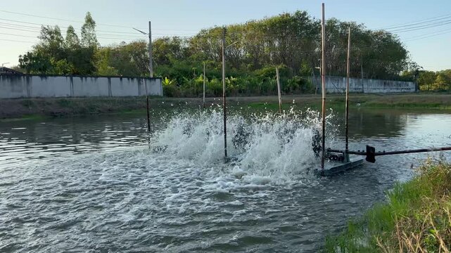 Paddle Wheel Aerator Operating in Aquaculture Pond for Fish and Shrimp Farming
