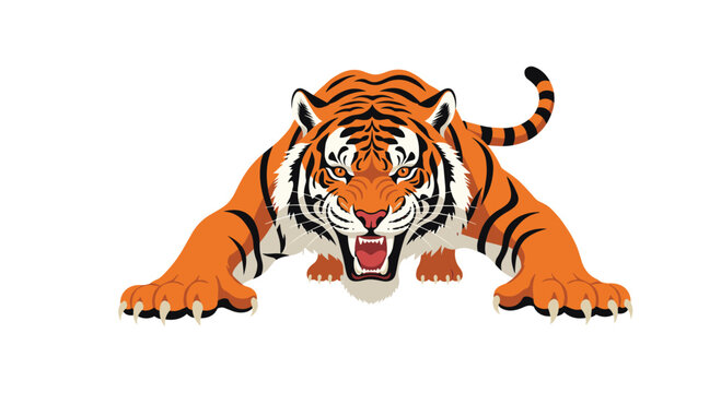 A powerful striped tiger with orange and black fur is captured mid-roar, crouching low with bared fangs on a clean white background.