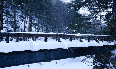 長野県　善五郎の滝　雪