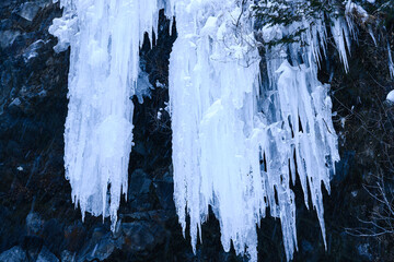 長野県　善五郎の滝　雪
