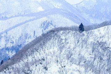 三重県　雪山