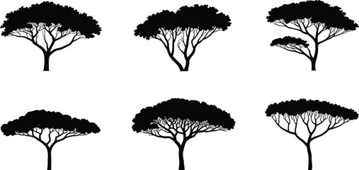 Six Black Silhouettes of African Acacia Trees with Bushy Canopies African tree nature © MDBENJIR