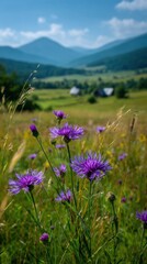 Obraz premium Scenic mountain valley covered with vibrant purple wildflowers and green forests under blue sky, summer alpine landscape.