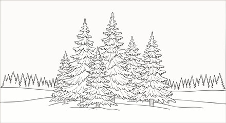 Obraz premium Detailed black and white line art illustration of a serene winter forest scene with tall evergreen pine trees covered in snow, perfect for coloring books or design elements.