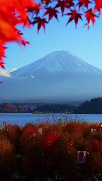 Nature scene with Mount Fuji and colorful fall vegetation