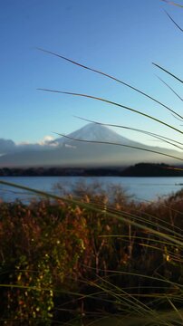 Iconic Mount Fuji view with lake and autumn colors