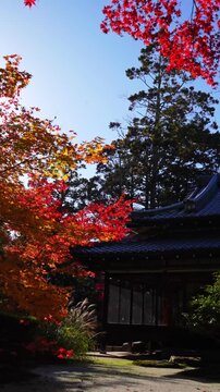 Traditional architecture in Kyoto with lush garden