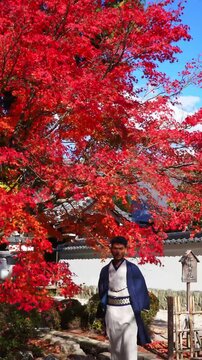 Traditional Japanese clothing with red autumn tree background