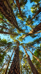 Fototapeta premium hyper realistic view from the forest floor tower