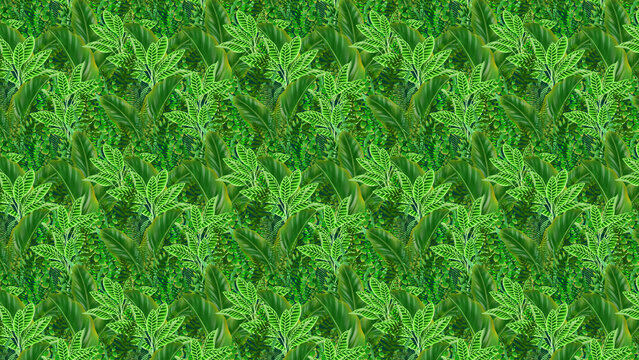 熱帯やジャングル系植物のパターン背景　柄　模様　壁紙　テクスチャ