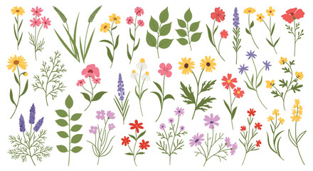 Wide variety of colorful wildflower and leaf illustrations arranged in a neat grid for botanical or nature projects.