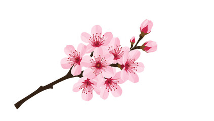 Vibrant and elegant graphic illustration of a delicate cherry blossom branch adorned with soft pink flowers and buds, symbolizing spring, renewal, and natural beauty against a clean white background