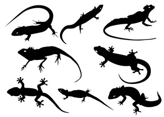 set of silhouettes of lizard © Sy