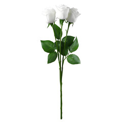 Three elegant white roses with green stems and leaves on a transparent background