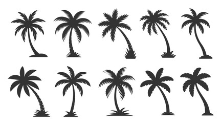 Fototapeta premium palm trees set silhouettes isolated on white background 