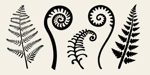 Black and white illustration of various fern fronds and curled leaves © Sabuj