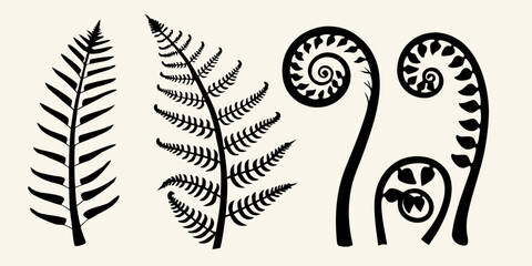 Stylized fern fronds in varying stages of uncurling presented as black silhouettes © Mamata