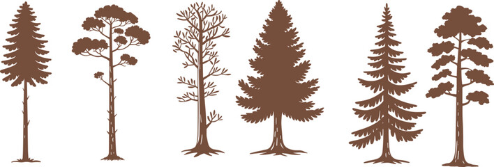 Various Pine and Fir Tree Silhouettes Set for Forest Landscapes, Outdoor Nature Adventure, and Wild Woodworking Design © Majnur