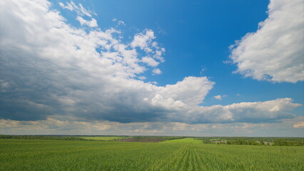 A Beautiful and Scenic Sky Over Lush Green Fields of Vibrant Nature and Idyllic Countryside