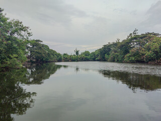 Fototapeta premium Serene Artificial Lake with Gentle Water Ripples Surrounded by Lush Green Trees
