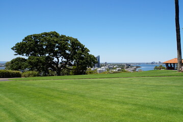 Fototapeta premium Perth view from Kings Park - Capital of Western Australia