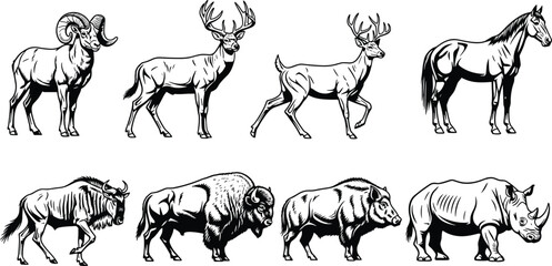 Wildlife Animal Engraving Set Featuring Deer, Bison, Rhino, Horse, Boar and Ram Vintage Black and White Illustration Collection © Heyyy
