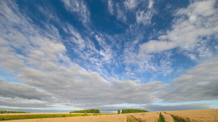 Expansive sky scene, Golden crops beneath sprawling clouds, Majestic horizon over swaying wheat fields, Serene landscape with rolling golden crops and expansive sky
