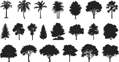 Black Tree Silhouettes Set with Palm Pine and Deciduous Garden Trees for Landscape Nature and Environment Design © Majnur