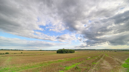 Obraz premium Expansive and Vast Agricultural Landscape Under Dramatic and Striking Skies Above